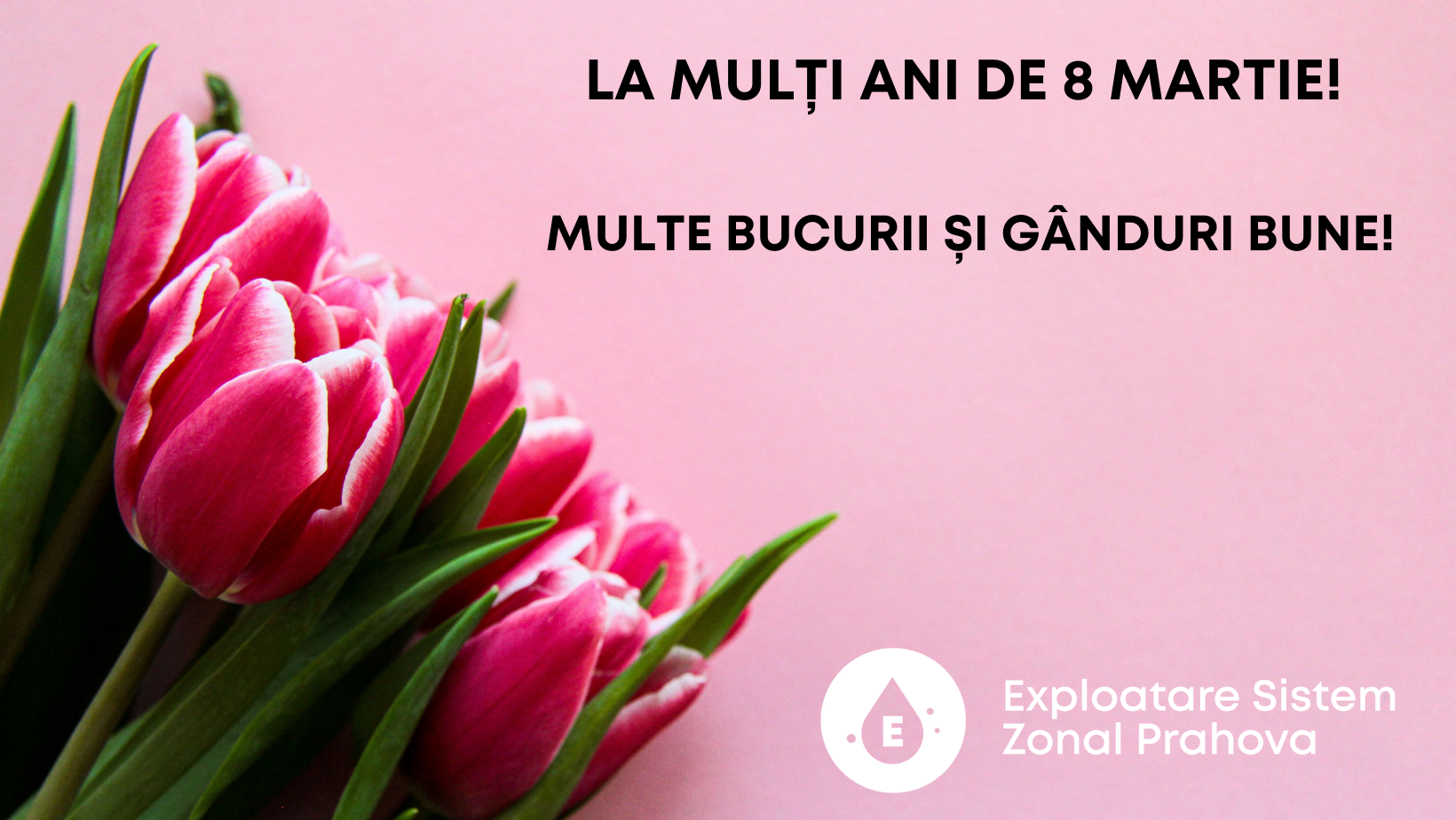 /uploads/comunicate/LA-MULTI-ANI-DE-8-MARTIE-FINAL.png