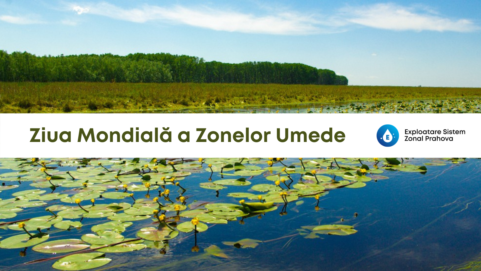 /uploads/comunicate/Ziua-Mondial.png