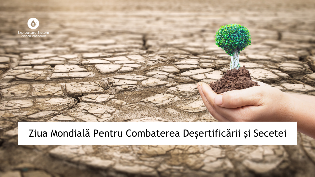 /uploads/comunicate/Ziua-Mondiala-a-Combaterii-Desertificarii-si-Secetei.png